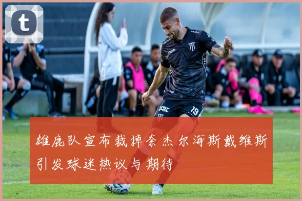 雄鹿队宣布裁掉奈杰尔海斯戴维斯引发球迷热议与期待